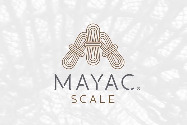 Diseño de Logotipo en Veracruz