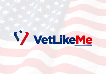 Diseño de Logotipo US Vets