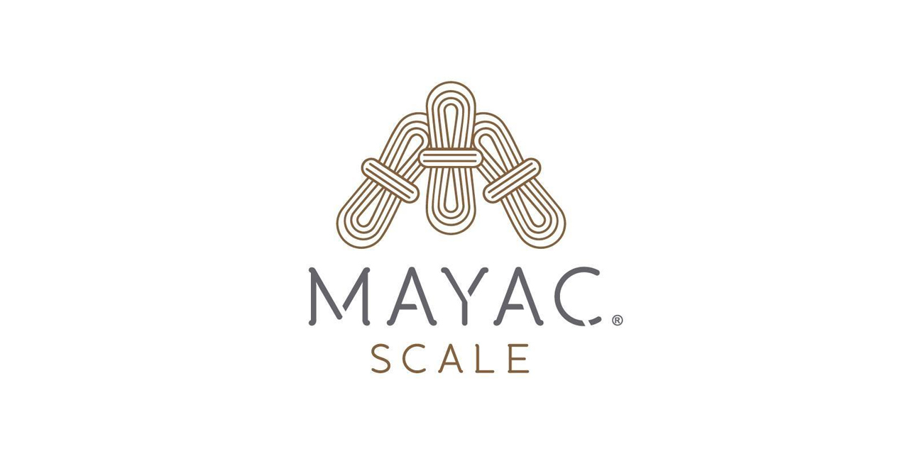 Diseño de Logotipo en Veracruz